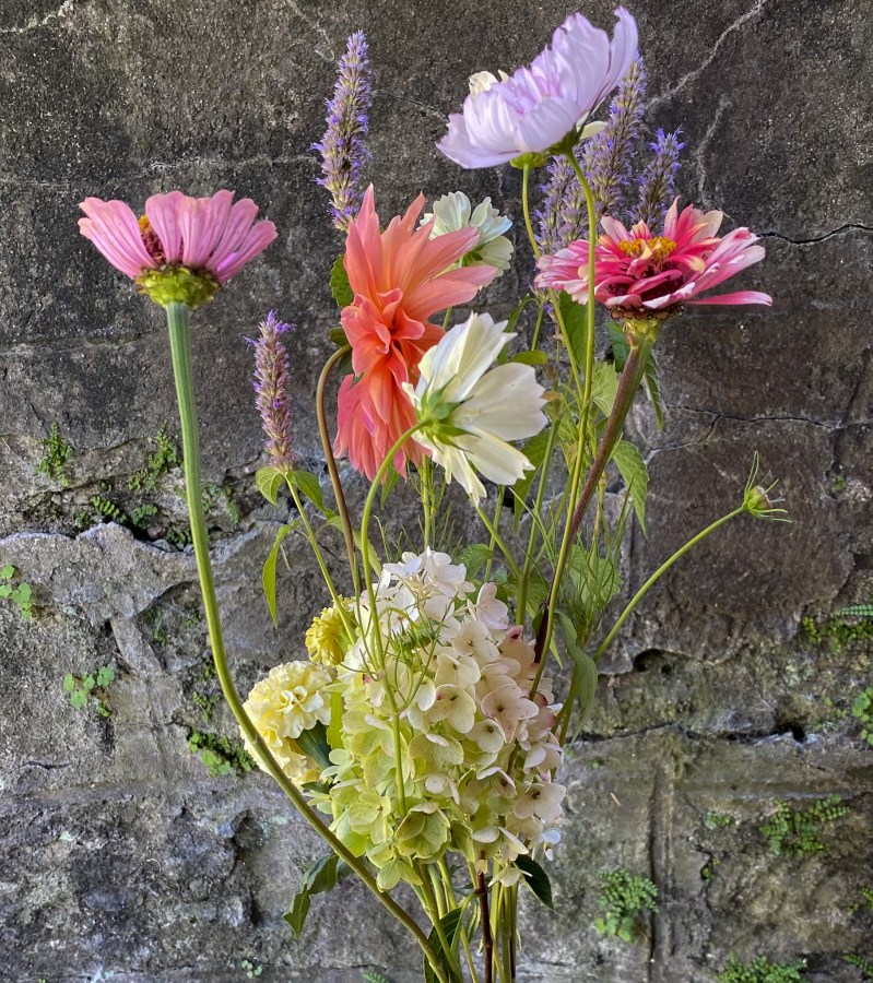 Blumengalerie-Shop-Abos-S- Schweizer Blumen.jpg8